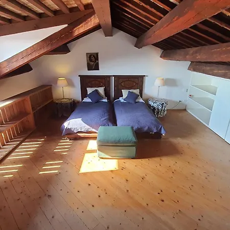 Palazzo Contarini Della Porta Di Ferro מלון דירות